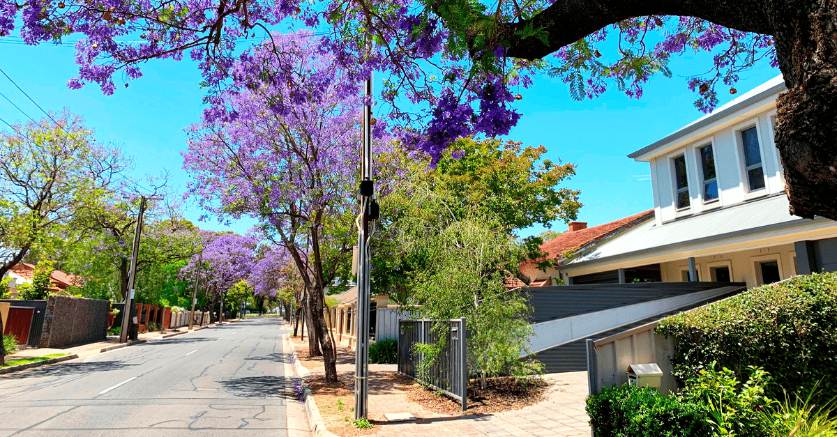 Housing market strengthens as Spring selling season gets underway